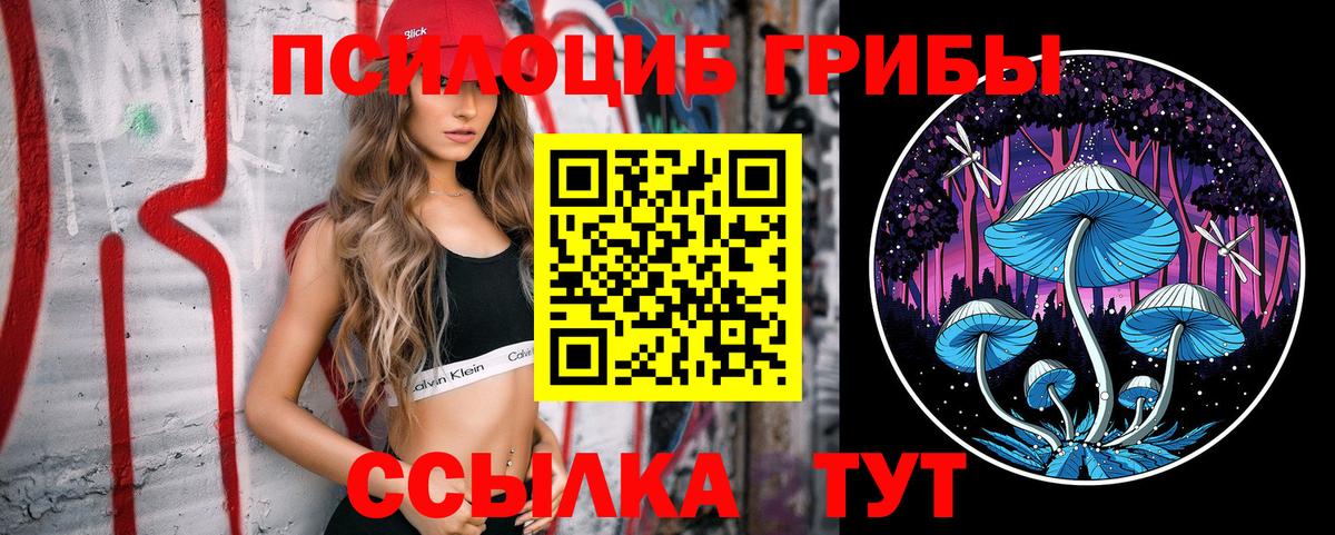 Псилоцибиновые грибы Magic Shrooms Кизилюрт